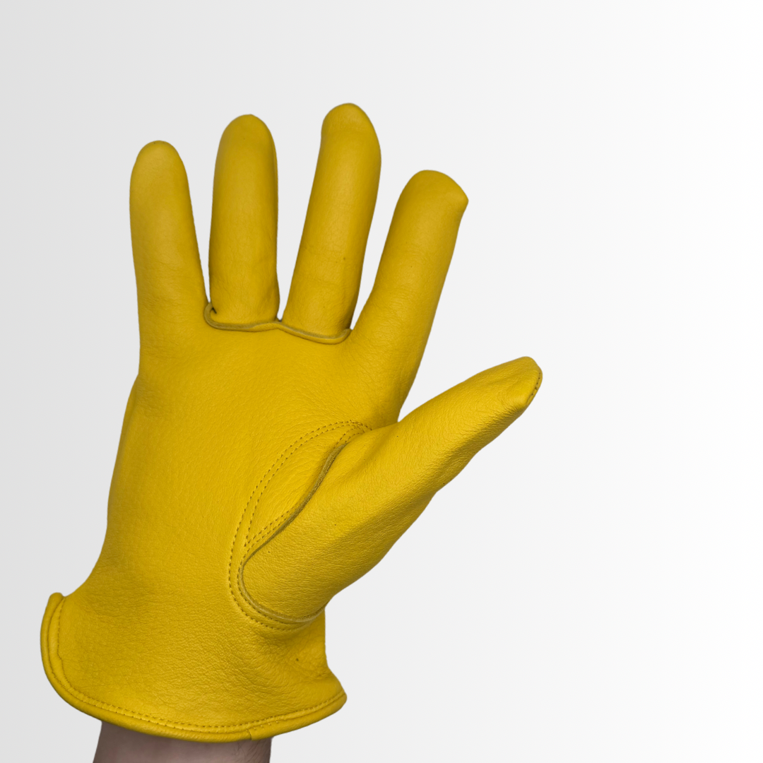 5464LH | Premium Grain Cowhide Driver Gloves with Keystone Thumb, Shirred Elastic Back, and Leather Hem (12 Pair)